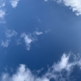 十一