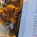南瓜三明治