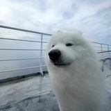 等一下