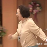 冬青百合