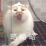 啦啦啦啦