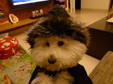 bearjty