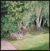 yimen