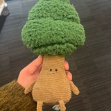 半调子没记性