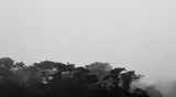 续旧