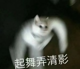 猫尾树上的猫头鹰