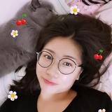云树影