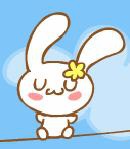 小雨i小兔