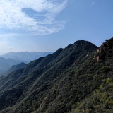 穆君