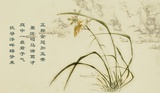 壶天清泪