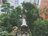 闲壬