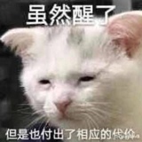 广州哥斯拉