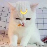 竹月白