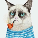 海盗橘猪黄油油