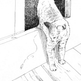 子喵