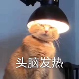 Wends（已发达