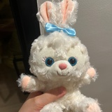 尹心木