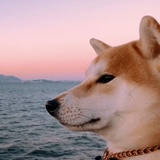 小襟