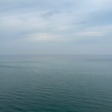 w_ylong