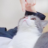 小月大半