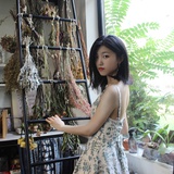 夏夏喵