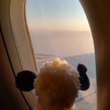Pluto