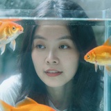 白七