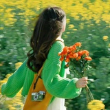 在路上行走的鱼