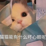 能有什么坏心思