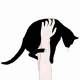 ✿  _北