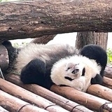 熟食区