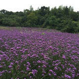 池潋