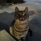 一闪而过
