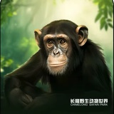 福宝宝