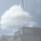 苍耳