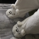 RR
