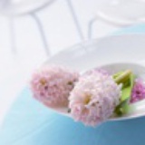 豆豆