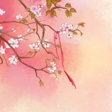 空调的修