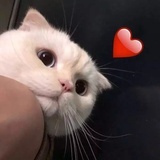 *⸜( •ᴗ• )⸝*