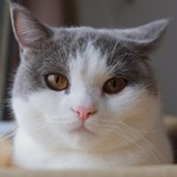 璃