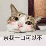 亲我一口可以不