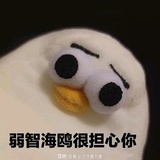 芋艿