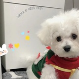 不会豆瓣