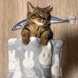 00:26