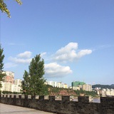 久茶不可以久尝