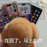 麦麦脆汁鸡o