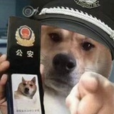 我说得都對