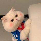 土豆大侠