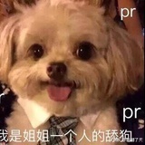 下一个更乖