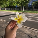 木美人鱼
